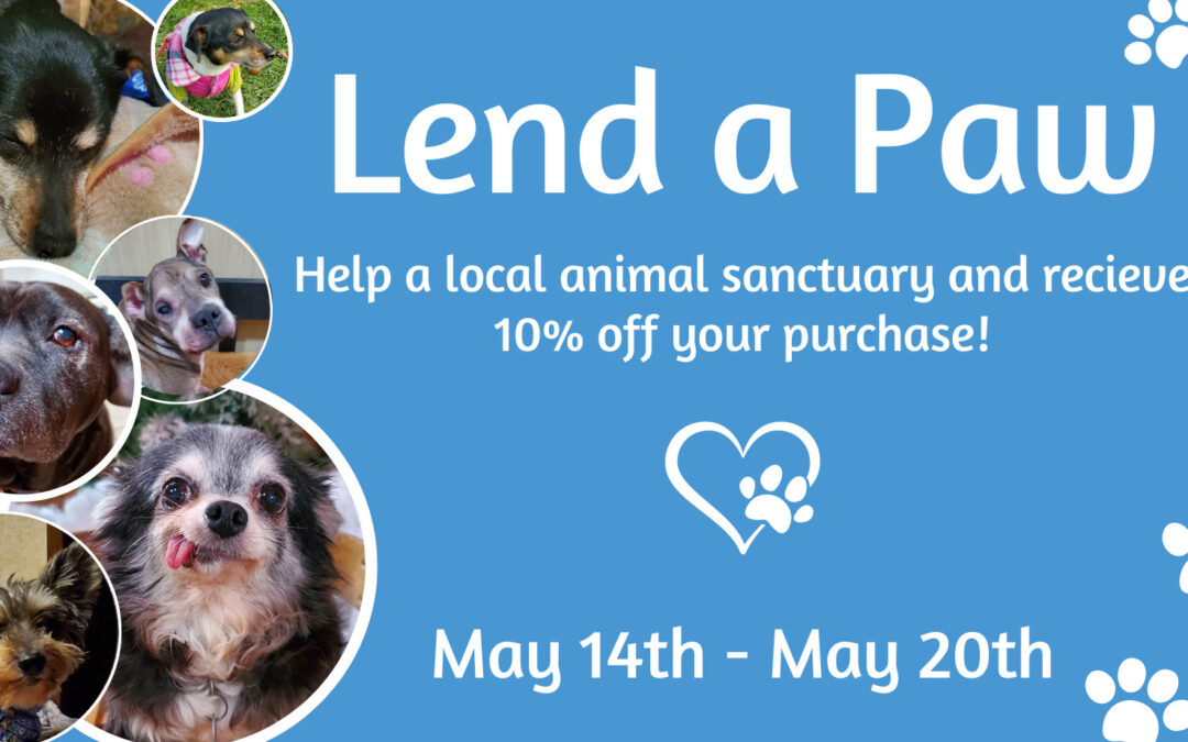 Lend a Paw! at Hello Cats & Dogs