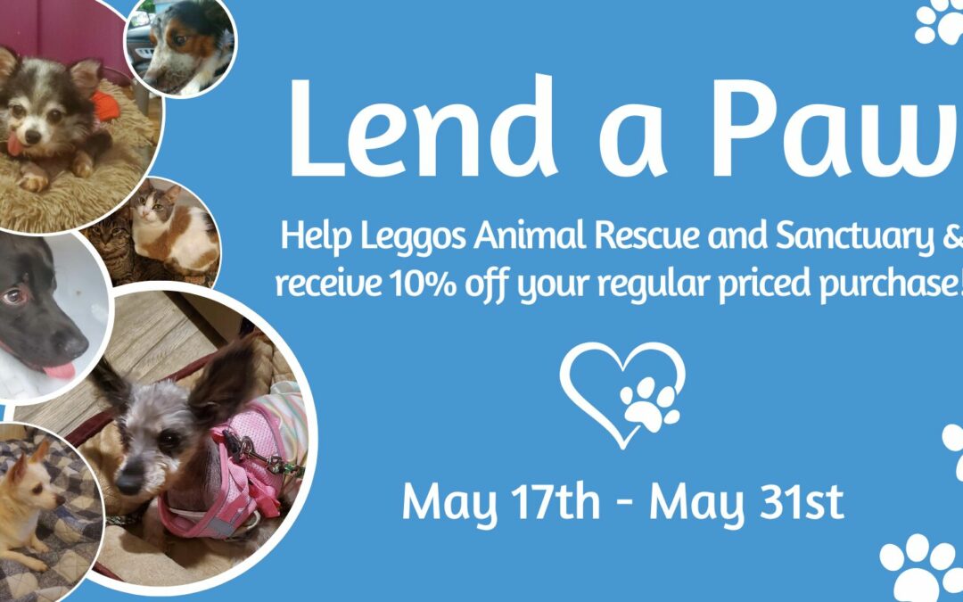 Lend a Paw at Hello Cats & Dogs