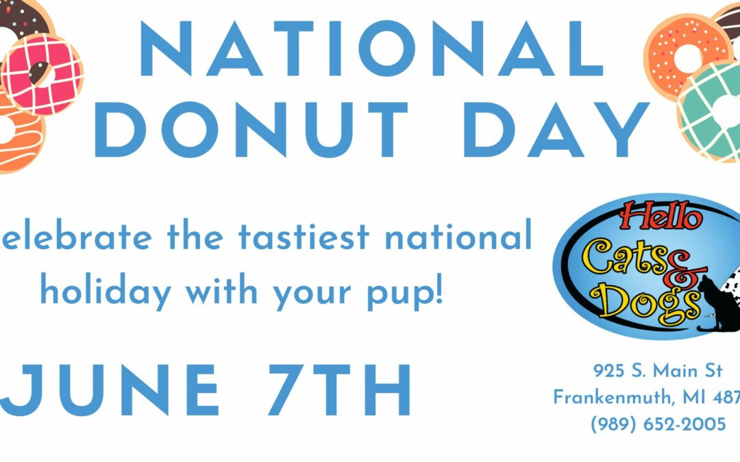 National Donut Day Deals at Hello Cats & Dogs